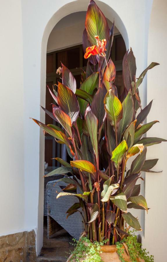 Amani Luxury Apartments Mombasa Exterior photo